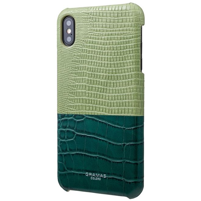 GRAMAS COLORS - iPhone XS / X Hülle - Amazon Series Kunstleder - grün