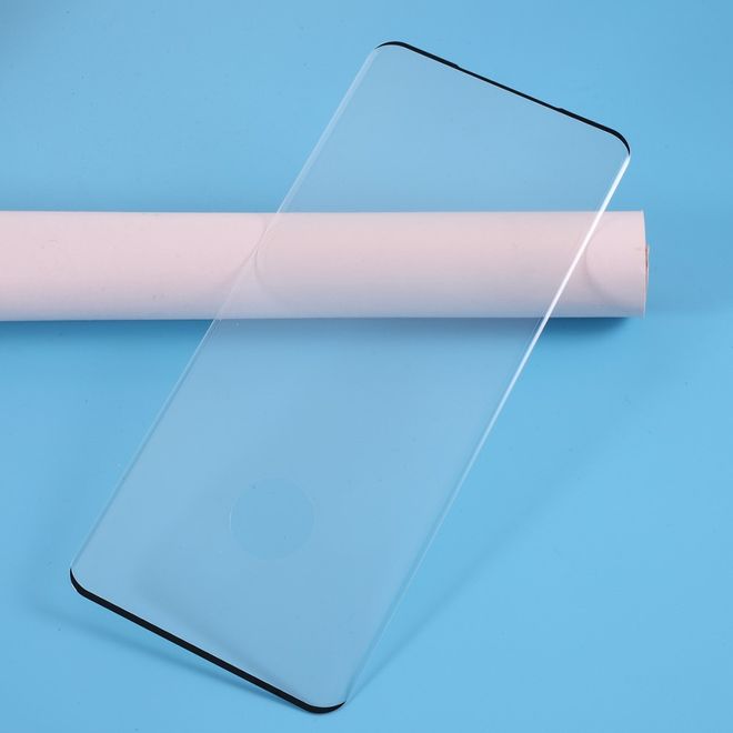 Samsung Galaxy S20 Ultra Schutzglas Displayschutz - Panzer Glas - transparent