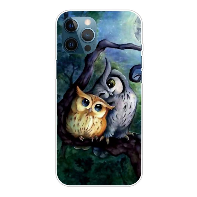 iPhone 13 Pro Max Handyhülle - Softcase Image Plastik Series - düstere Eulen